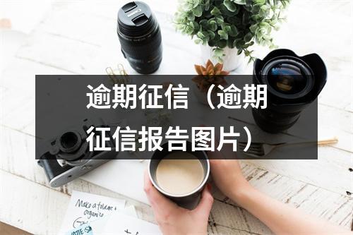 逾期征信(逾期征信报告图片)