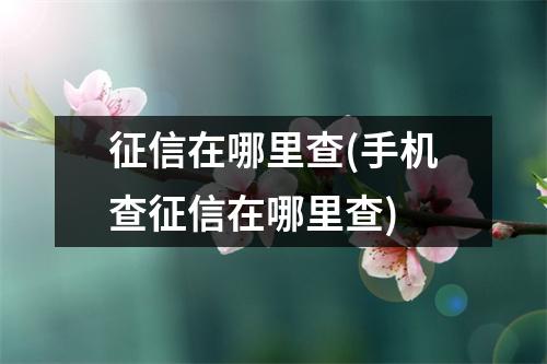 征信在哪里查(手机查征信在哪里查)
