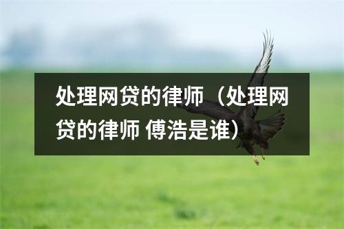 处理网贷的律师（处理网贷的律师 傅浩是谁）