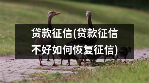 贷款征信(贷款征信不好如何恢复征信)