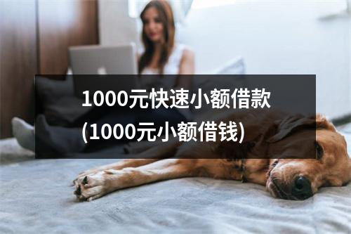 1000元快速小额借款(1000元小额借钱)