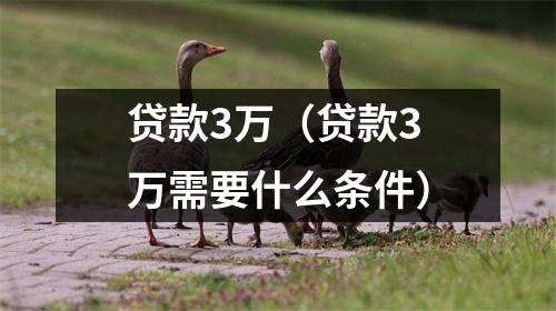 贷款3万（贷款3万需要什么条件）