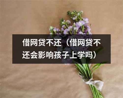 借网贷不还(借网贷不还会影响孩子上学吗)