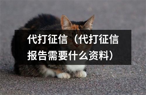 代打征信(代打征信报告需要什么资料)
