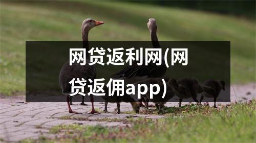 网贷返利网(网贷返佣app)