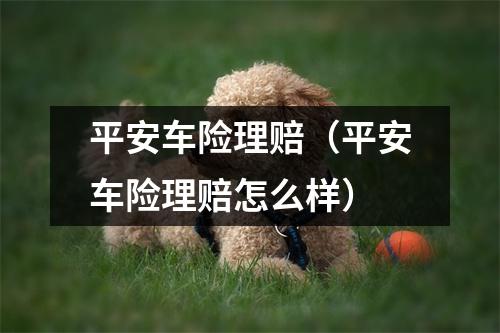 平安车险理赔（平安车险理赔怎么样）