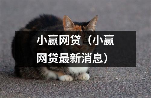 小赢网贷（小赢网贷最新消息）