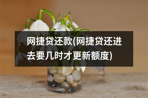 网捷贷还款(网捷贷还进去要几时才更新额度)