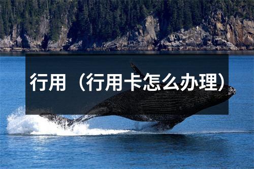 行用（行用卡怎么办理）