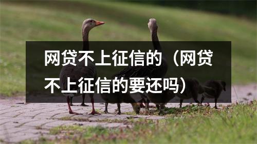 网贷不上征信的（网贷不上征信的要还吗）