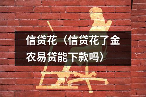 信贷花（信贷花了金农易贷能下款吗）