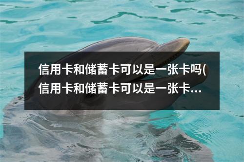 信用卡和储蓄卡可以是一张卡吗(信用卡和储蓄卡可以是一张卡吗怎么激活)