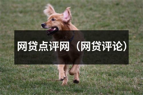 网贷点评网（网贷评论）