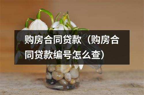 购房合同贷款（购房合同贷款编号怎么查）