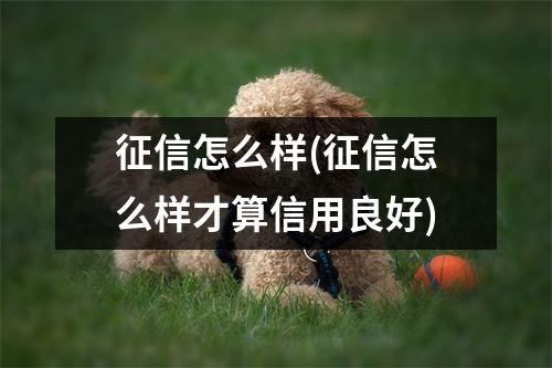 征信怎么样(征信怎么样才算信用良好)