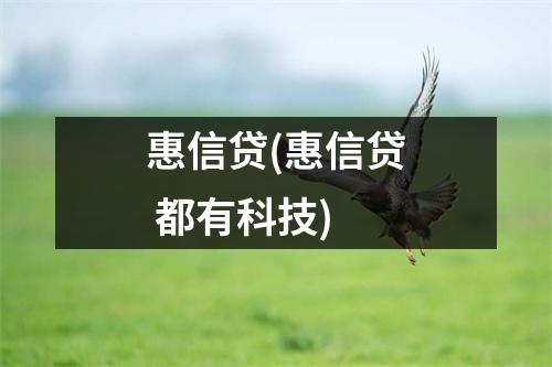 惠信贷(惠信贷 都有科技)