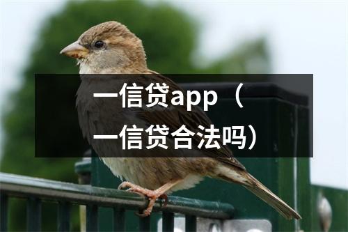 一信贷app（一信贷合法吗）
