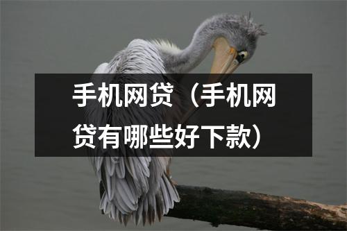 手机网贷（手机网贷有哪些好下款）
