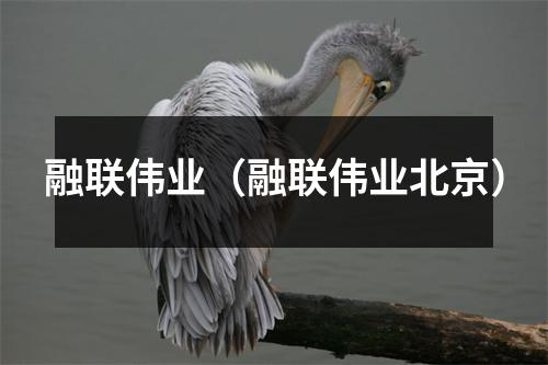 融联伟业（融联伟业北京）