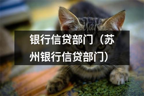 银行信贷部门（苏州银行信贷部门）