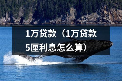 1万贷款（1万贷款5厘利息怎么算）