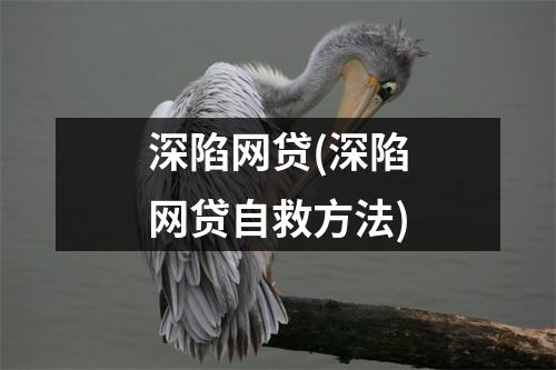 深陷网贷(深陷网贷自救方法)