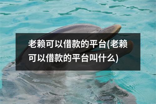 老赖可以借款的平台(老赖可以借款的平台叫什么)