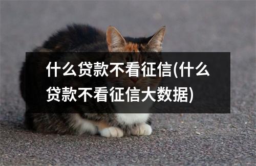 什么贷款不看征信(什么贷款不看征信大数据)