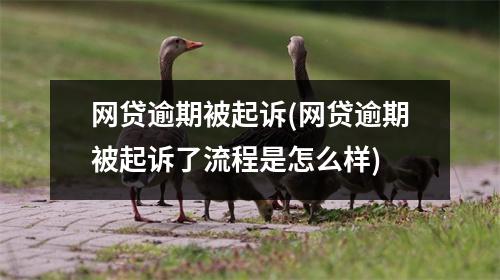 网贷逾期被起诉(网贷逾期被起诉了流程是怎么样)