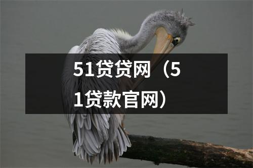 51贷贷网(51贷款官网)
