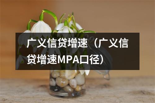 广义信贷增速（广义信贷增速MPA口径）