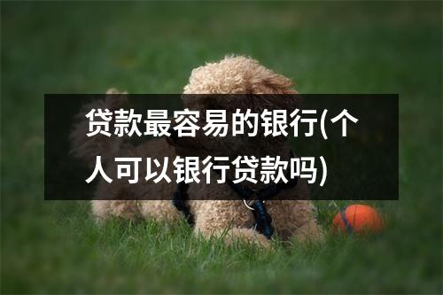 贷款最容易的银行(个人可以银行贷款吗)