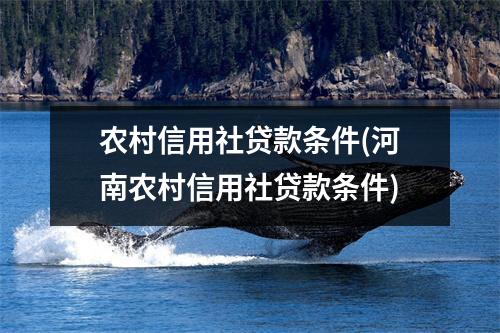 农村信用社贷款条件(河南农村信用社贷款条件)