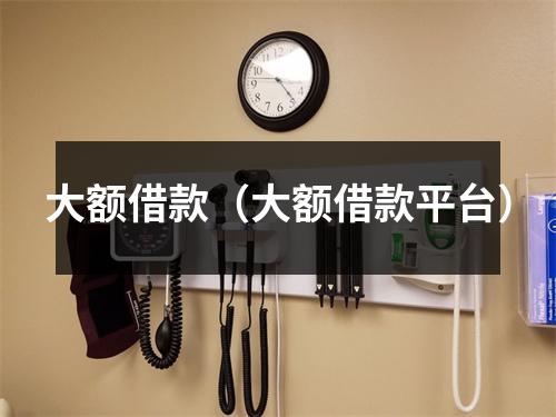 大额借款(大额借款平台)