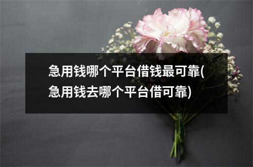 急用钱哪个平台借钱最可靠(急用钱去哪个平台借可靠)