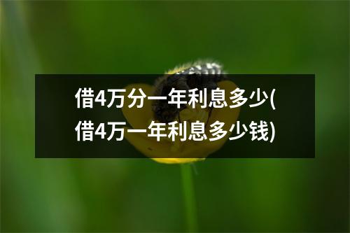 借4万分一年利息多少(借4万一年利息多少钱)