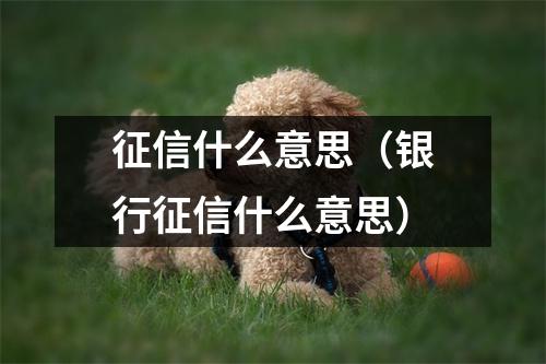 征信什么意思（银行征信什么意思）