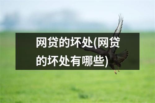 网贷的坏处(网贷的坏处有哪些)