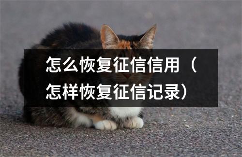 怎么恢复征信信用(怎样恢复征信记录)