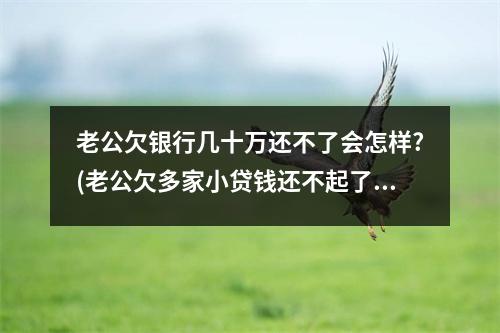 老公欠银行几十万还不了会怎样?(老公欠多家小贷钱还不起了该咋办)