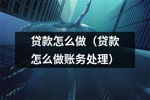 贷款怎么做（贷款怎么做账务处理）