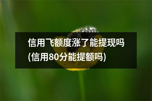 信用飞额度涨了能提现吗(信用80分能提额吗)