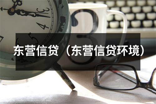 东营信贷(东营信贷环境)