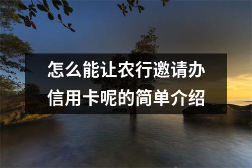 怎么能让农行邀请办信用卡呢的简单介绍
