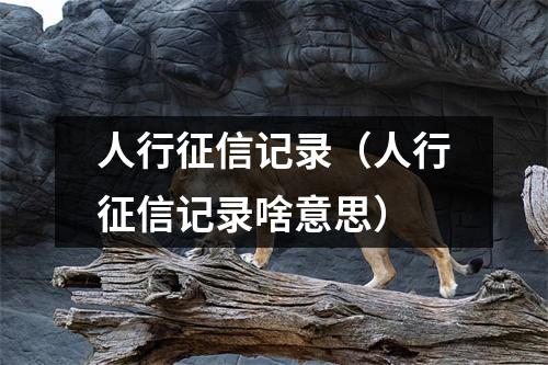 人行征信记录（人行征信记录啥意思）