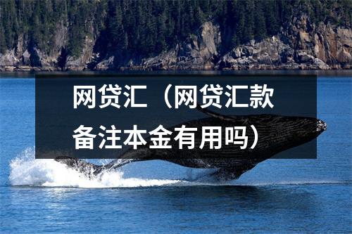 网贷汇(网贷汇款 备注本金有用吗)