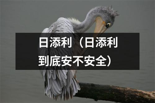 日添利（日添利到底安不安全）