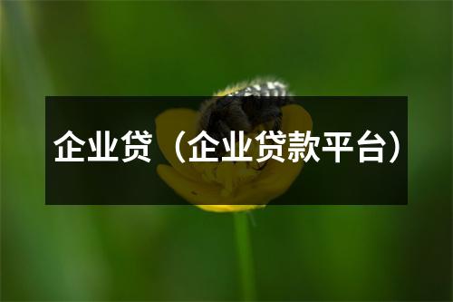 企业贷(企业贷款平台)