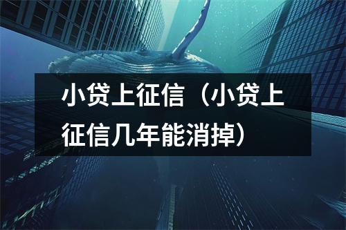 小贷上征信（小贷上征信几年能消掉）