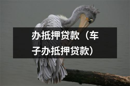办抵押贷款(车子办抵押贷款)